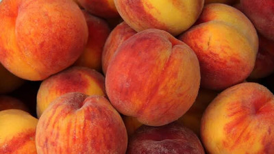 Aywal Peach Fruit Seed(6 per packet)