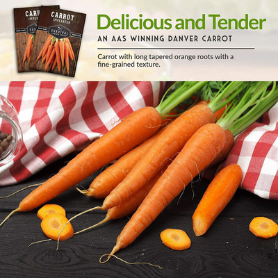 VibeX NBIR-93 - Imperator 58 Carrot - (2250 Seeds) Seed(2250 per packet)