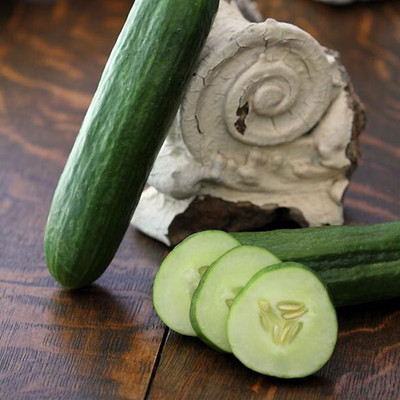 Avysa Cucumber Diva F1 Seed-CuC_203 Seed(50 per packet)