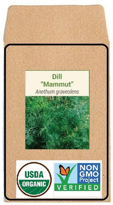CYBEXIS Hybrid Seeds-Dill Mammut2800 Seeds Seed(2800 per packet)