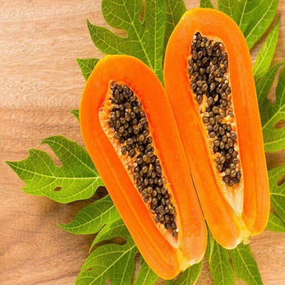 Quentova Papaya Seeds Dwarf Variety-NCS-8B Seed(40 per packet)