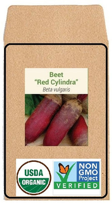 KNESSiN Beetroot Seed(1250 per packet)