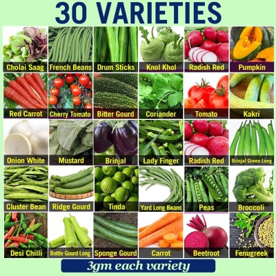 Upjau Vegetable Seeds Combo Pack Perfect for Home Gardening Offers 30 Varieties Seed(180 g)