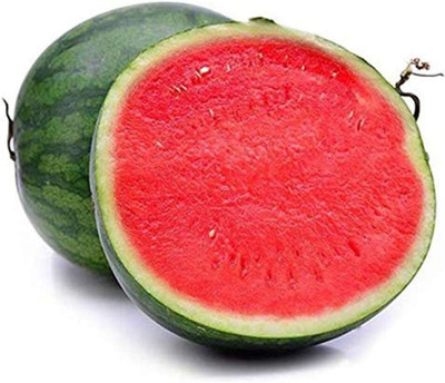 WILLVINE Watermelon Seeds Watermelon Seedless Seeds Sweet Juice-[600 Seeds] Seed(600 per packet)