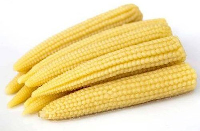 LPR BUTTA , SWEET CORN Seed(50 per packet)