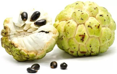 MAA Custard Apple Seed(21 per packet)