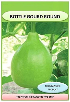 Cloud Farm F1 Summer Prolific Round Bottle Gourd-[25gm] Seed(100 per packet)