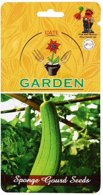 WILLVINE Seeds Sponge Gourd Improved 2 in 1 Flower Seed-[400 Seeds] Seed(400 per packet)