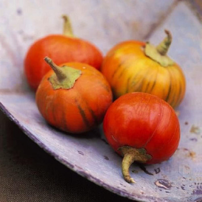 KNESSiN Turkish Orange Brinjal Seeds-[2gm] Seed(500 per packet)