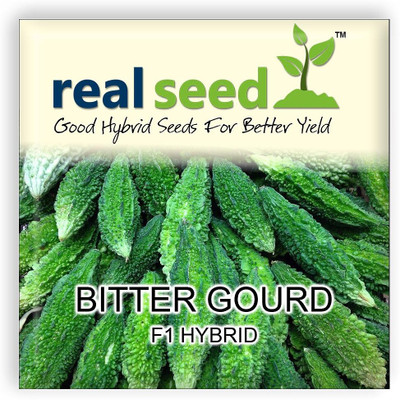 WILLVINE Bitter Gourd (Karela) F1 Hybrid Imported Vegetable Seeds-[50 Seeds] Seed(50 per packet)