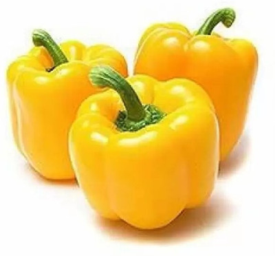 Aro Yellow Capsicum, Capsicum, Bell Pepper Seed(42 per packet)