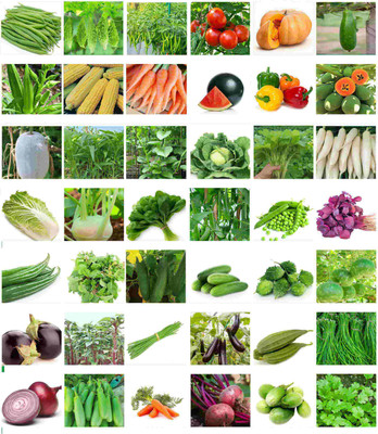 abiswas 40 Variety vegetable Combo Seed(2300 per packet)