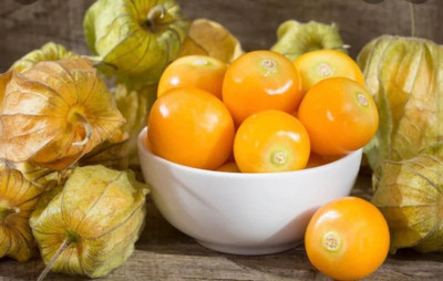 Quentova Golden/Cape Gooseberries Seed(100 per packet)