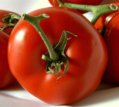 CYBEXIS Ustava Hybrid Tomato1000 Seeds Seed(1000 per packet)