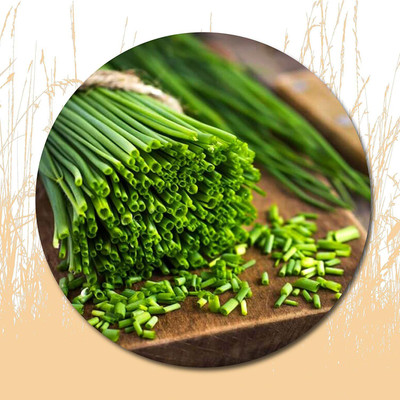 CYBEXIS ATS-84 - Chives - (750 Seeds) Seed(750 per packet)