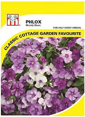 CYBEXIS Flowers - Phlox Drummondii Moody Blues Seed(50 per packet)
