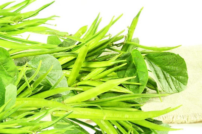 XOLDAA CLUSTER BEANS SEEDS Seed(40 per packet)
