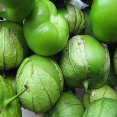 KNESSiN F1 Hybrid Green Tomatillo Vegetable Seeds For Gardening - (2000 Seeds) Seed(2000 per packet)
