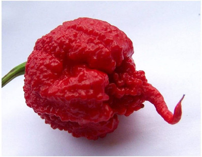 CYBEXIS HOT Pepper - Carolina Reaper - Seeds-300 Seeds Seed(300 per packet)