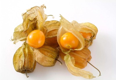 QALANDAR Cape Gooseberry Goldenberry Physalis Seed(20 per packet)