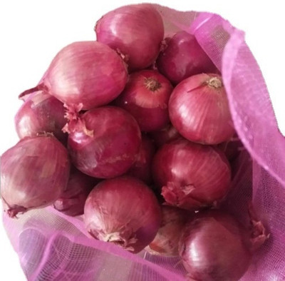 the green dotcom Nasik Onion Seed(60 per packet)