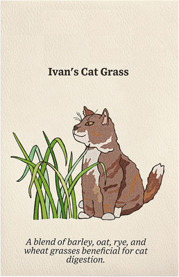 VibeX XLR-23 - Cat Grass (Sweet Oat Grass) - (4500 Seeds) Seed(4500 per packet)