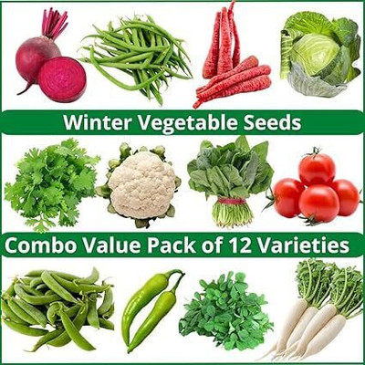Rootify ®ERW-40 Variety Hybrid Vegetable Seeds Combo Pack-12-SEEDS-VC-452 Seed(20 g)