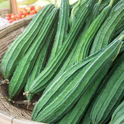 KANAYA Dhari Tori F1 Hybrid Vegetable Seed(20 per packet)