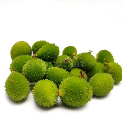 Seedsqlty Kantola seeds desi Seed(20 per packet)