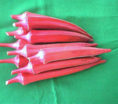Qualtivate EXL-4AT Non-GMO Red Bhindi/Okra Seeds Seed(350 per packet)
