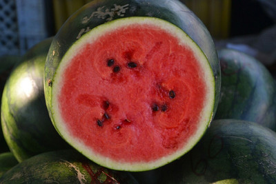 Farmonix Watermelon Seeds Sugar Baby Seed(30 per packet)