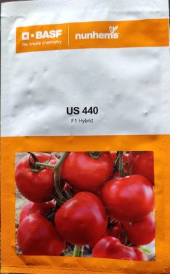 nunhems US 440, Tomato, 3000 Seed(3000 per packet)