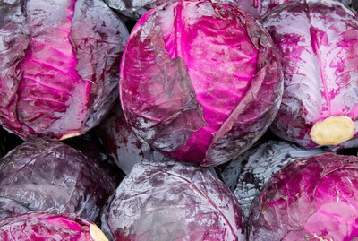 WILLVINE ROX -II Red Acre Cabbage - Brassica oleracea [50g] Seed(15000 per packet)