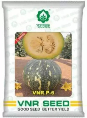 the green dotcom VNR P-6 PUMPKIN 10gram F1 hybrid Seed (10 g) Seed(60 per packet)