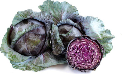 WILLVINE SYN -IV Red Acre Cabbage - Brassica oleracea [10g] Seed(3000 per packet)