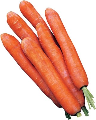 VibeX ® XLR-115 Nantes Half Long Carrot Seeds Seed(500 per packet)