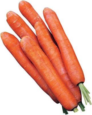 VibeX GBPUT-44 - Nantes Half Long Carrot - (750 Seeds) Seed(750 per packet)