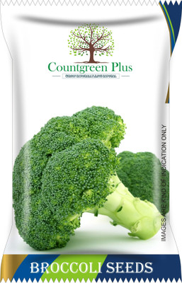 Countgreen Plus Broccoli Seeds for Home Gardening | High Germination | Organic Seeds | 100 Seeds Seed(100 per packet)