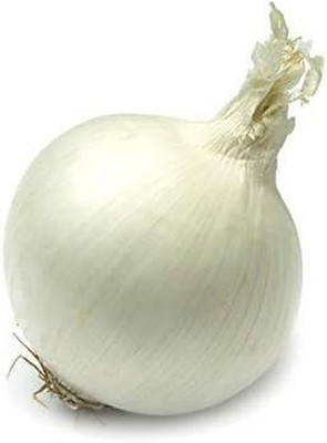 Biosnyg Fast Growing White Queen Giant Onion Seeds For Kitchen Gardening-(750 Seeds) Seed(750 per packet)