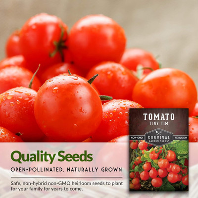 Qualtivate PUAS-2A Tiny Tim Tomato Seed Seed(300 per packet)
