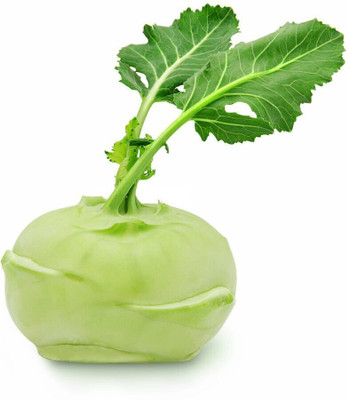 the green dotcom Ol kopi, kohlrabi Seed(100 per packet)
