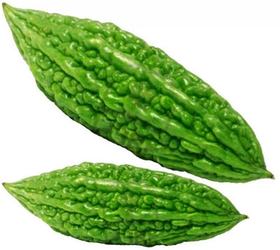 Cloud Farm Bitter_Melon Seed(25 per packet)