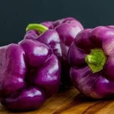 Aywal Capsicum- Shimla Mirch Seed(220 per packet)