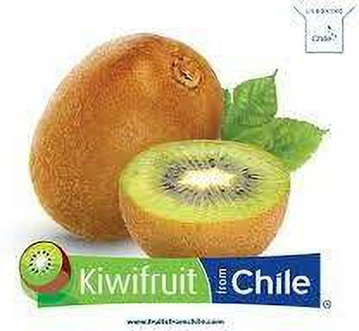 XOLDAA KIWI HYBRID F1 QUALITY FRUIT Seed(123 per packet)
