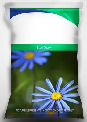 VibeX XL-63 - Blue Daisy For Home Garden - (60 Seeds) Seed(60 per packet)