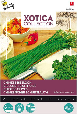 WILLVINE GUA-379 GARLIC CHIVE Allium Tuberosum Seed(500 per packet)