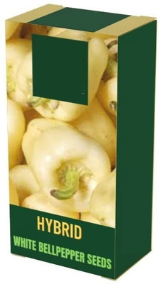 Qualtivate ATS-429 Imported Capsicum White Ivory Seeds Seed(200 per packet)