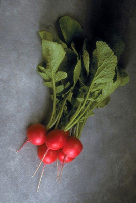 CYBEXIS Cherriette Radish600 Seeds Seed(600 per packet)