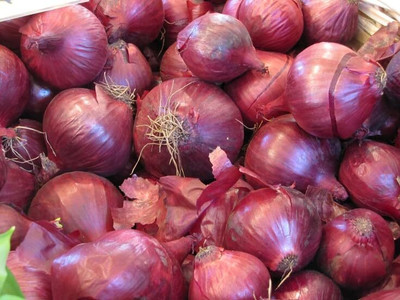 KNESSiN F1 Hybrid Red Bhima Onion Vegetable Seeds for Garden-(1200 Seeds) Seed(1200 per packet)