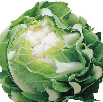 CYBEXIS Cauliflower Triomphant F1 Vegetable Seeds2000 Seeds Seed(2000 per packet)